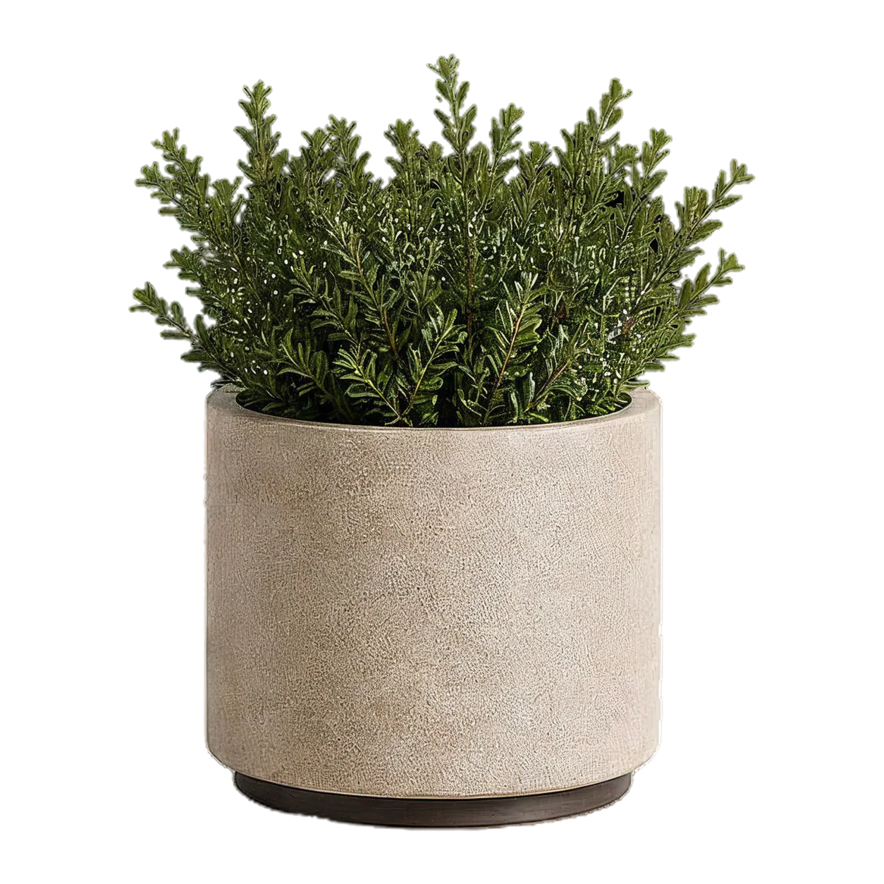 Stone Planter